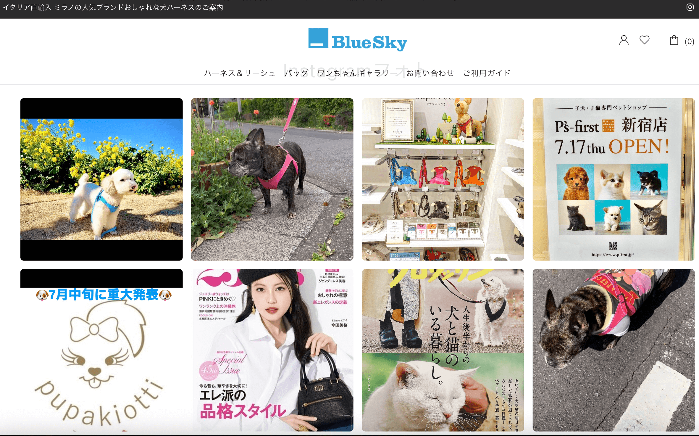 Blue-Skyさまのサムネイル画像4